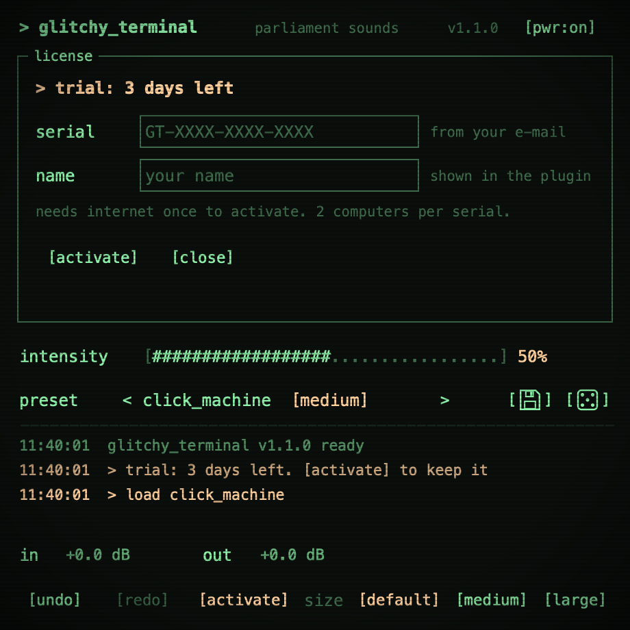 Glitchy Terminal activation screen
